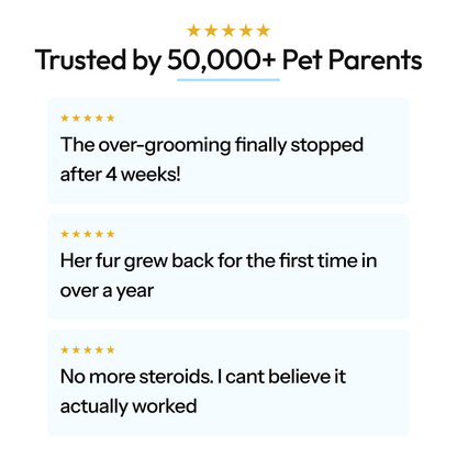 Canovia Premium Cat Collagen