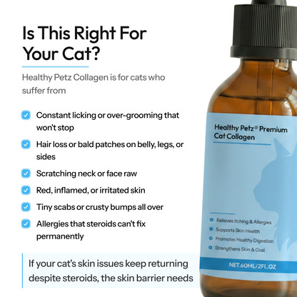 Canovia Premium Cat Collagen