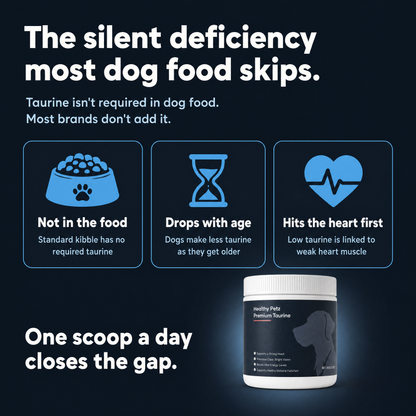 Canovia Premium Taurine